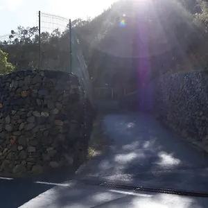 https://apartamento-rural-tilo.in-canary-islands.com